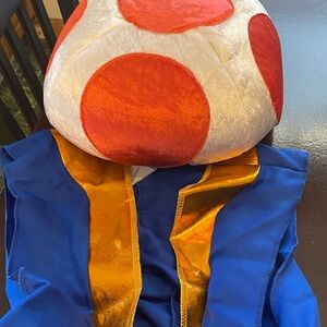 Nintendo Super Mario Blue and Gold Costume